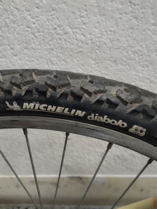 BICICLETA MONTAÑA TOPBIKE