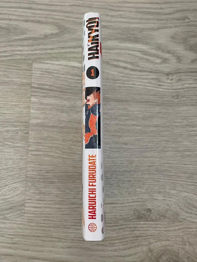 Manga HAIKYU!!