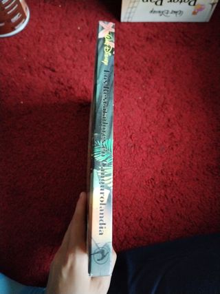 Los Rescatadores en Cangurolandia Disney