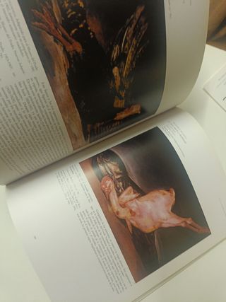 Libro Arte pintura BLDEGONES Y FLOREROS