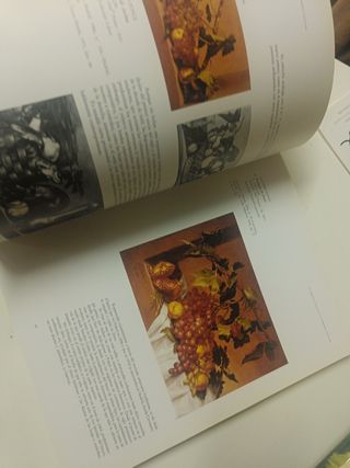 Libro Arte pintura BLDEGONES Y FLOREROS