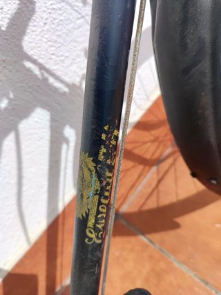 Bicicleta antigua con alforjas