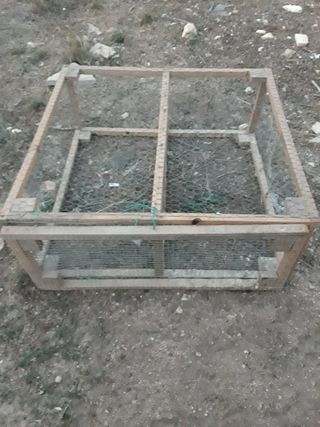 Jaula de  codornices