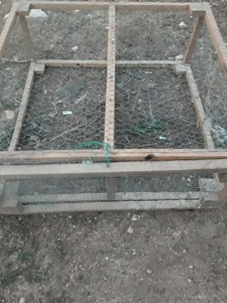 Jaula de  codornices