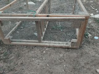 Jaula de  codornices