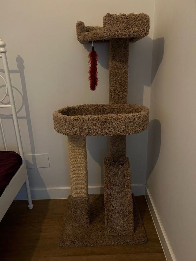 Torre gato