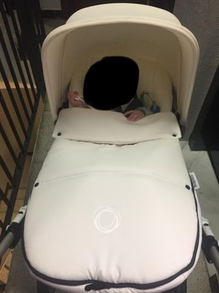 Capota y saco Bugaboo