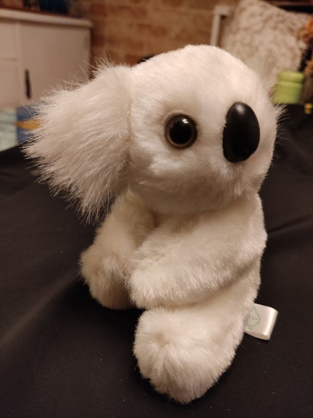 Peluche de koala pequeño