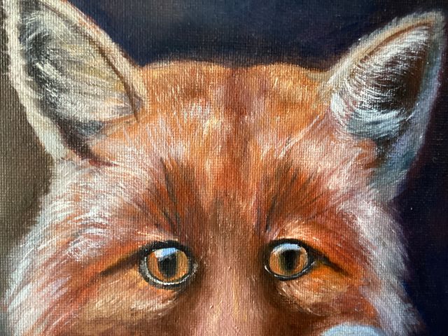 Cuadro al óleo Retrato de Zorro  ,con marco 40 €