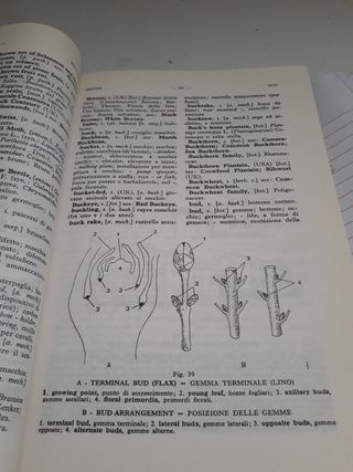 Dizionario di agricoltura
