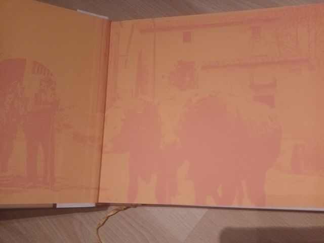 Àlbum 1888-2005. Dues visions de l'Alt E