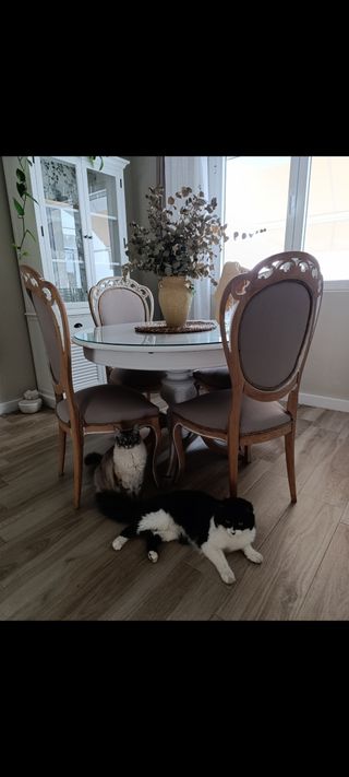 Conjunto comedor maison du monde elegantes vintage