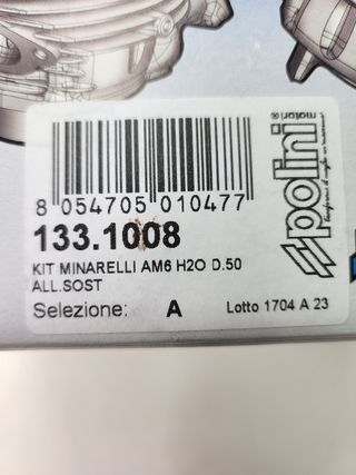Cilindro Polini Minarelli AM6