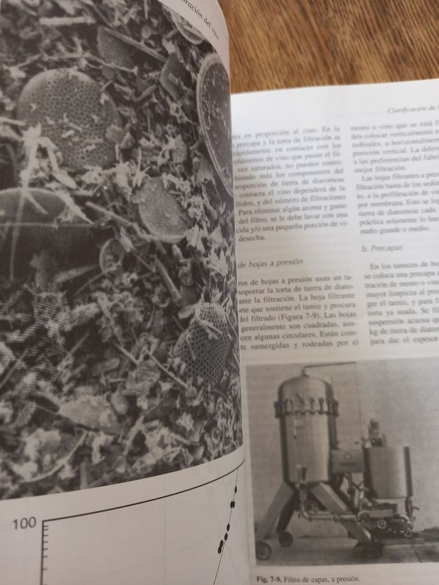 Teoría y práctica de la elaboración del vino