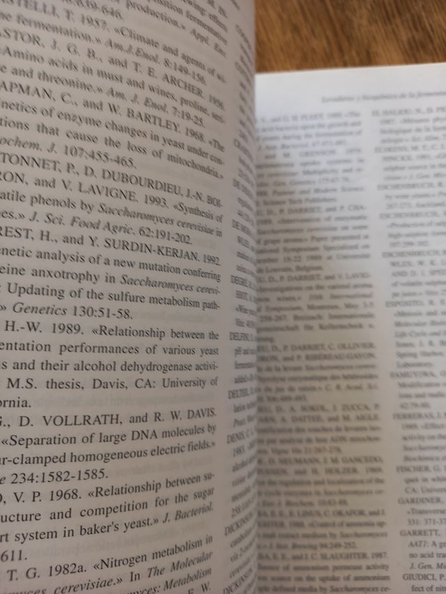 Teoría y práctica de la elaboración del vino