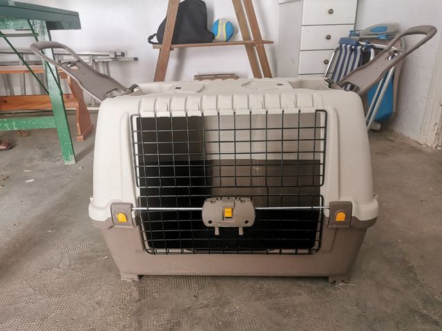 Transportin perro