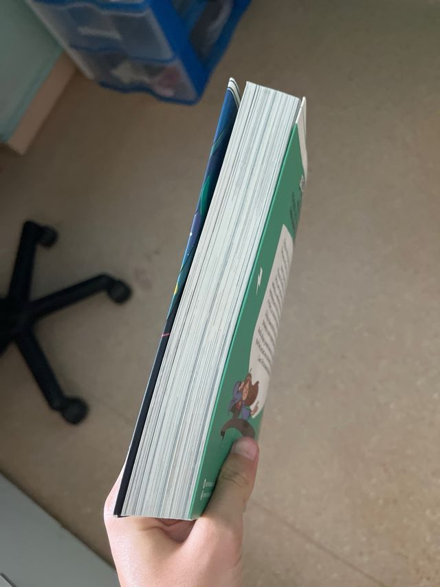 Libro les princesds rebels