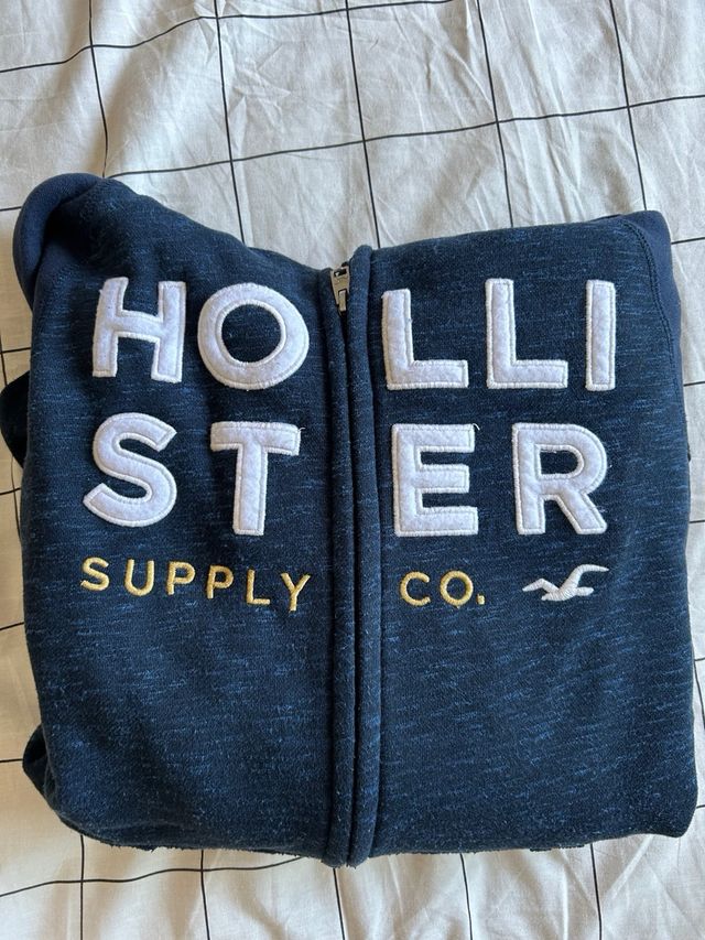 Sudadera Hollister con cremallera y capucha