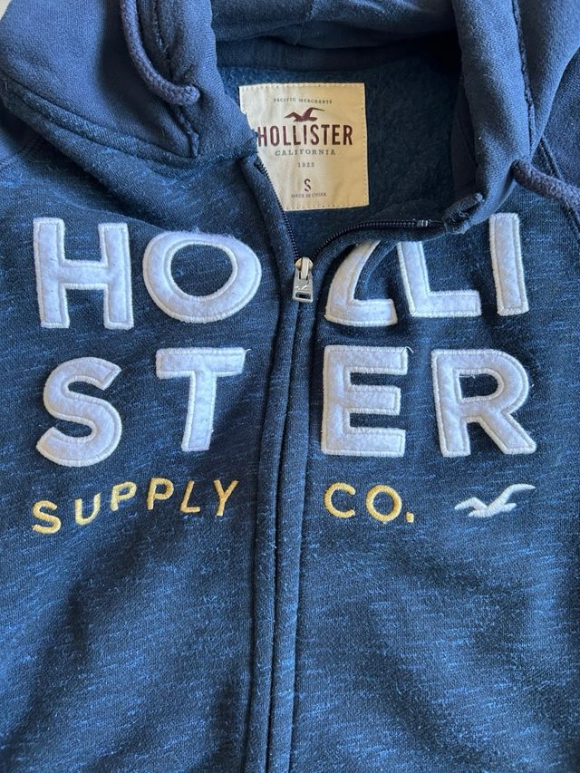 Sudadera Hollister con cremallera y capucha