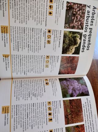 Diseña y cuida tu jardín