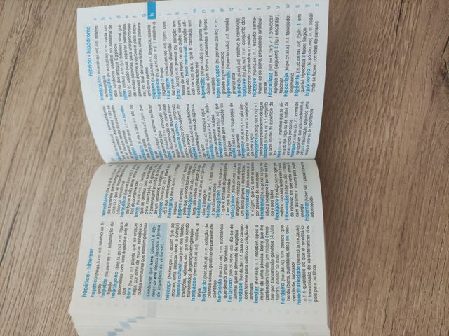 Diccionario Portugués 1° ciclo