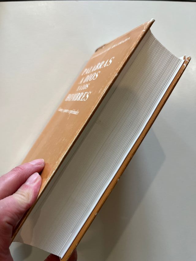 Rafaela María del Sagrado Corazón de Jesús Palabra