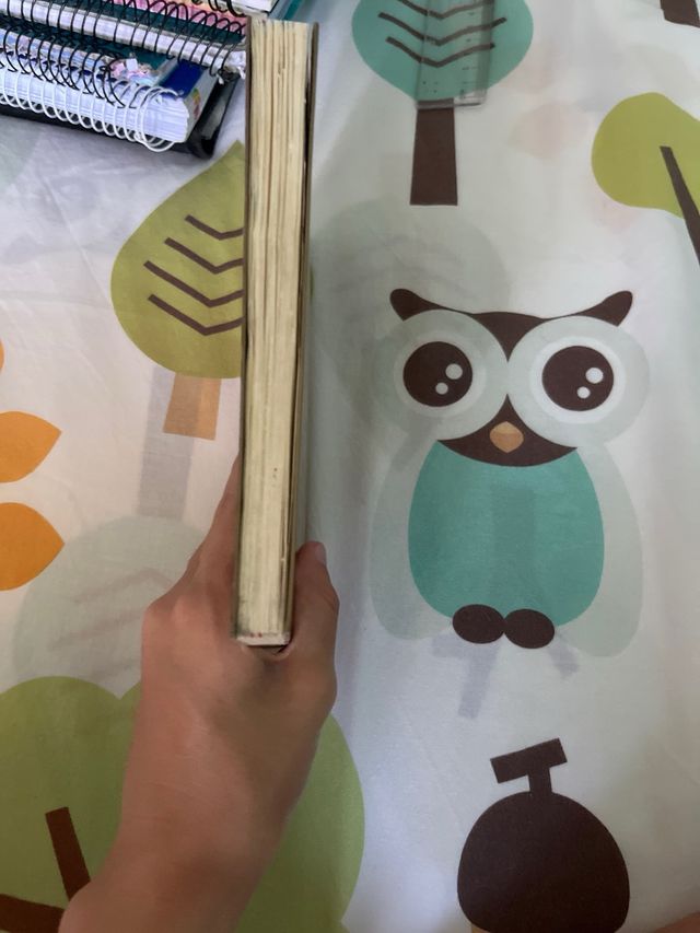 Libro el espiritu del ultimo verano