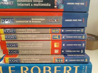 10 dizionari dictionnaires français angl