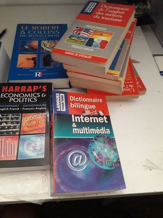 10 dizionari dictionnaires français angl