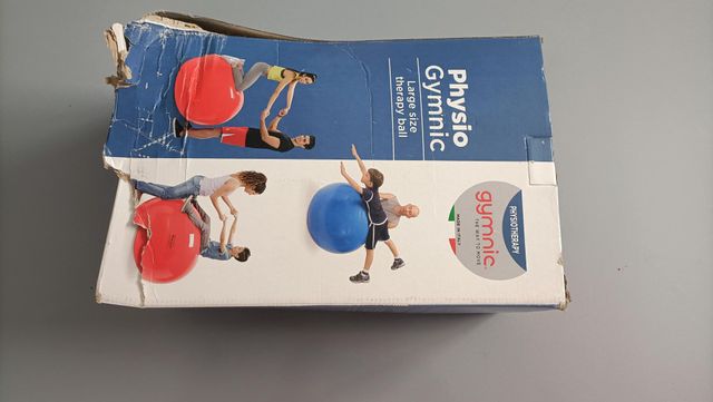 Physio Gymnic Pelota Terapia Profesional Fitball