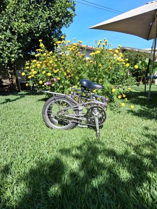 Dahon Classic 3 Inoxidável