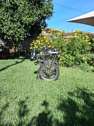 Dahon Classic 3 Inoxidável