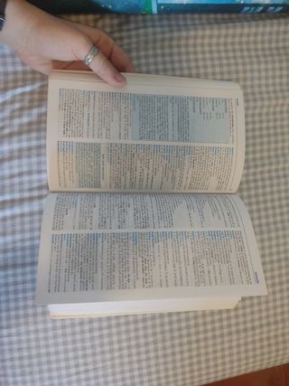 diccionario Español-Ingles Larousse