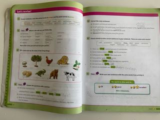 Natural Science 4 primaria