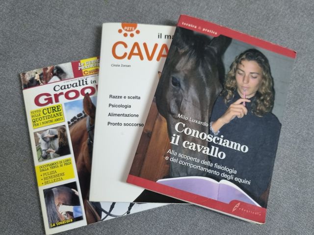 Cavallo Cavalli