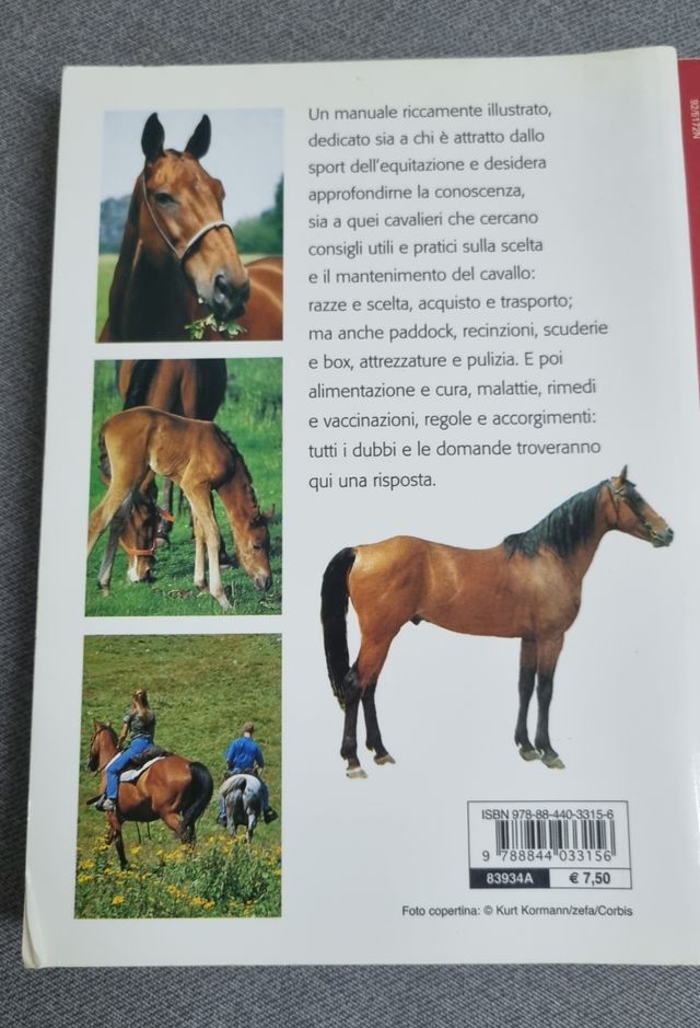 Cavallo Cavalli