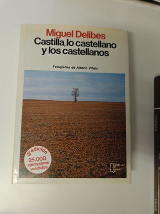 Lote libros LCastilla, Lo Castelllano....