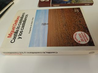 Lote libros LCastilla, Lo Castelllano....