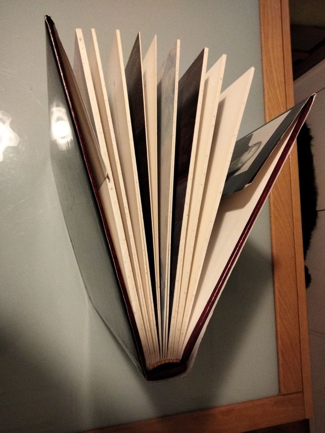 EL PINTOR JOSÉ LULL.