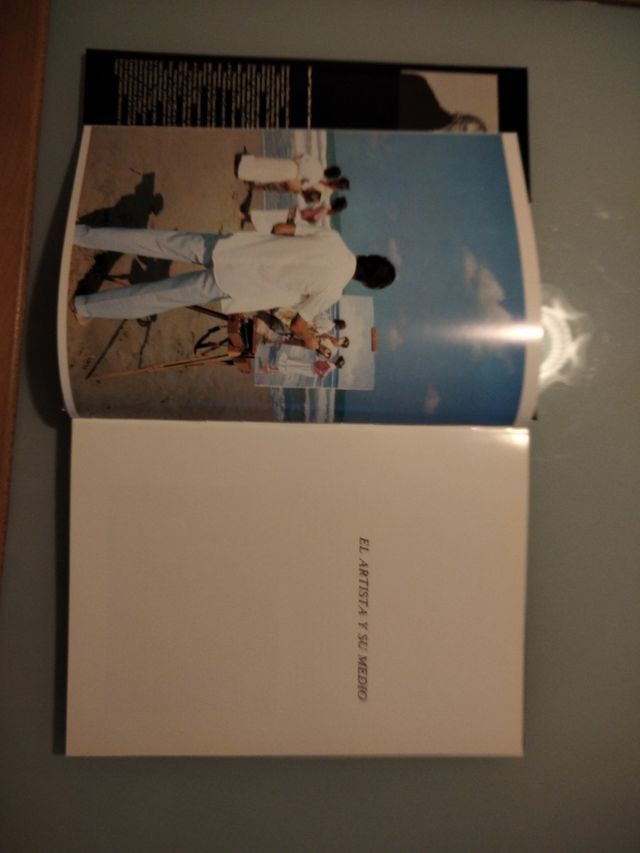 EL PINTOR JOSÉ LULL.