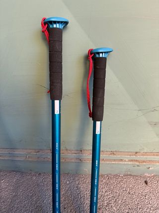 aste regolabili da trekking (montagne ecc)