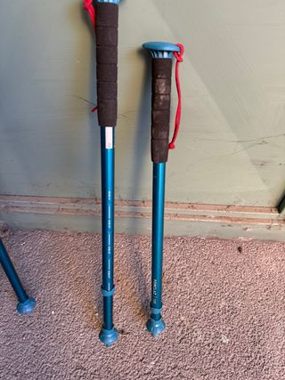 aste regolabili da trekking (montagne ecc)