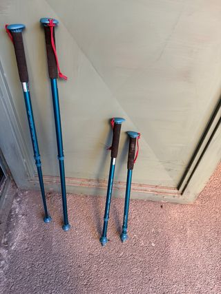 aste regolabili da trekking (montagne ecc)