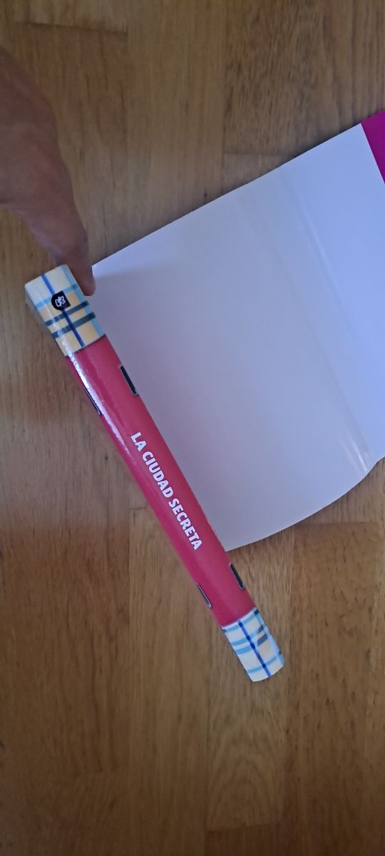 Libro la ciudad secreta de Tea Stilton