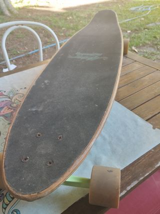 Skateboard longboars