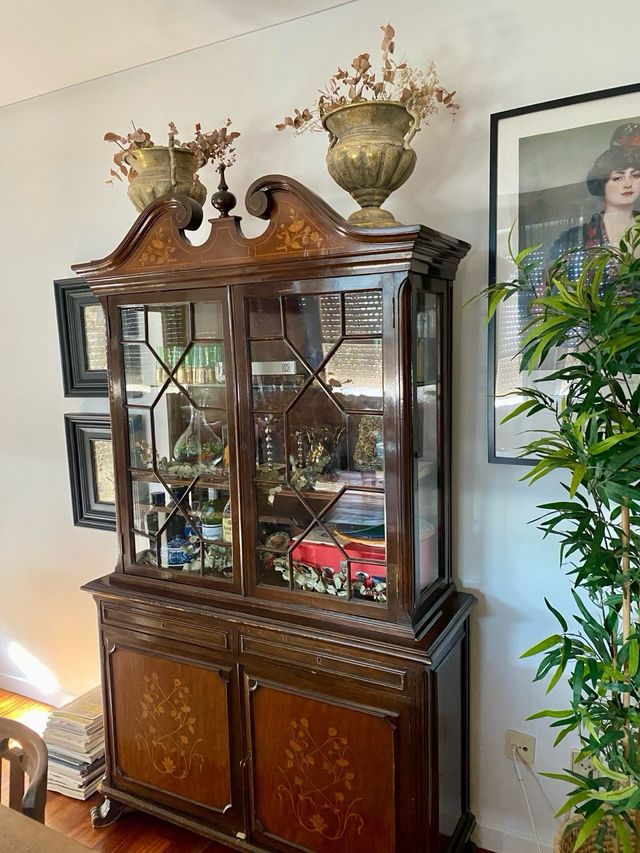 Preciosa Vitrina antigua