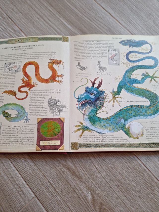 Libro Dragones