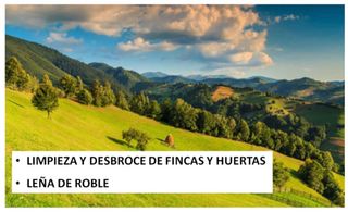 Trabajos forestales y jardineria Ávila provincia
