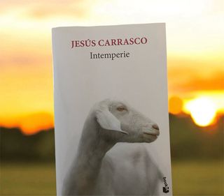 Interperie, Jesús Carrasco