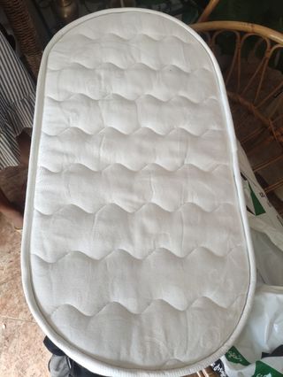 Moisés caña Antiguo